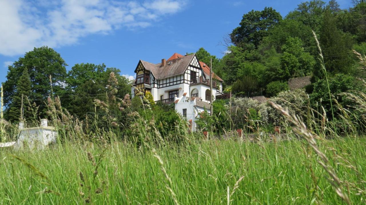 Meißen Ferienwohnung Elbsommer Am Weinberg מראה חיצוני תמונה